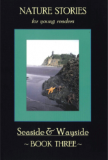 Seaside & Wayside Book 3